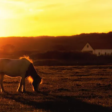 Mudder Groeoen 別荘