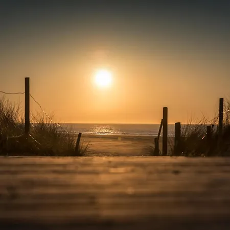 Mudder Groeoen シュピーカーオーク